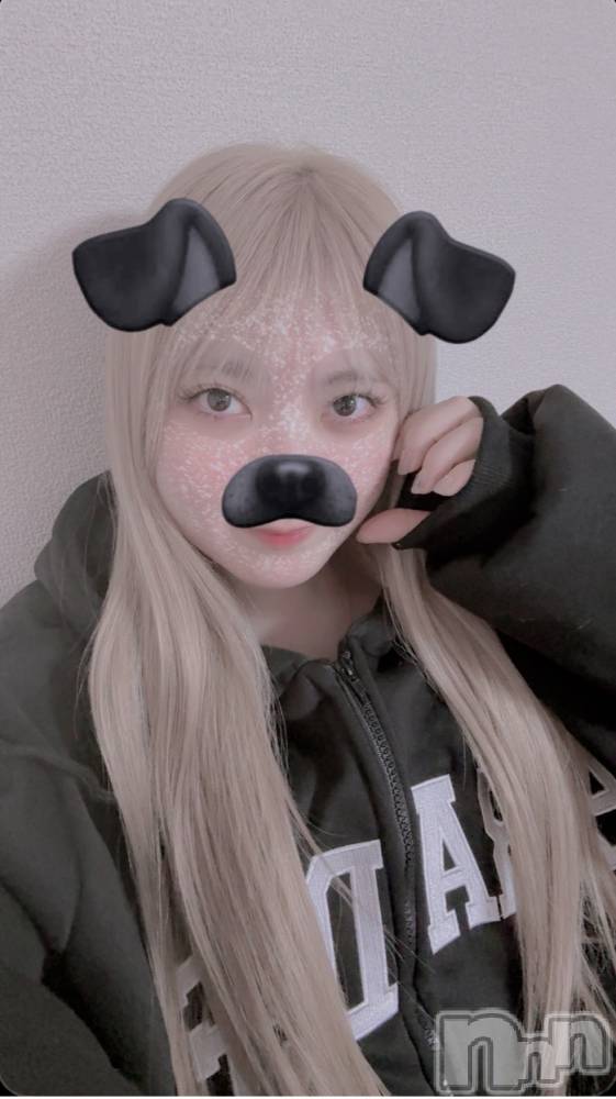 ʥå륺Сʥå New KANAKO(˥塼ʥ) 줢113̥֥Newإ顼💕🐶