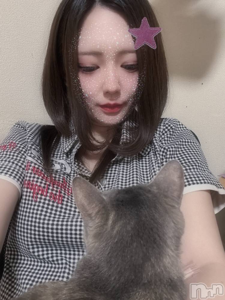 ƲХ顦֥ ץ Ĺ( ץ ʥ) 725̥֥֤ͤͤ
