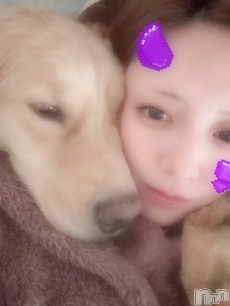 ƲХ顦֥ ץ Ĺ( ץ ʥ) 1111̥֥֤äԤ᤮