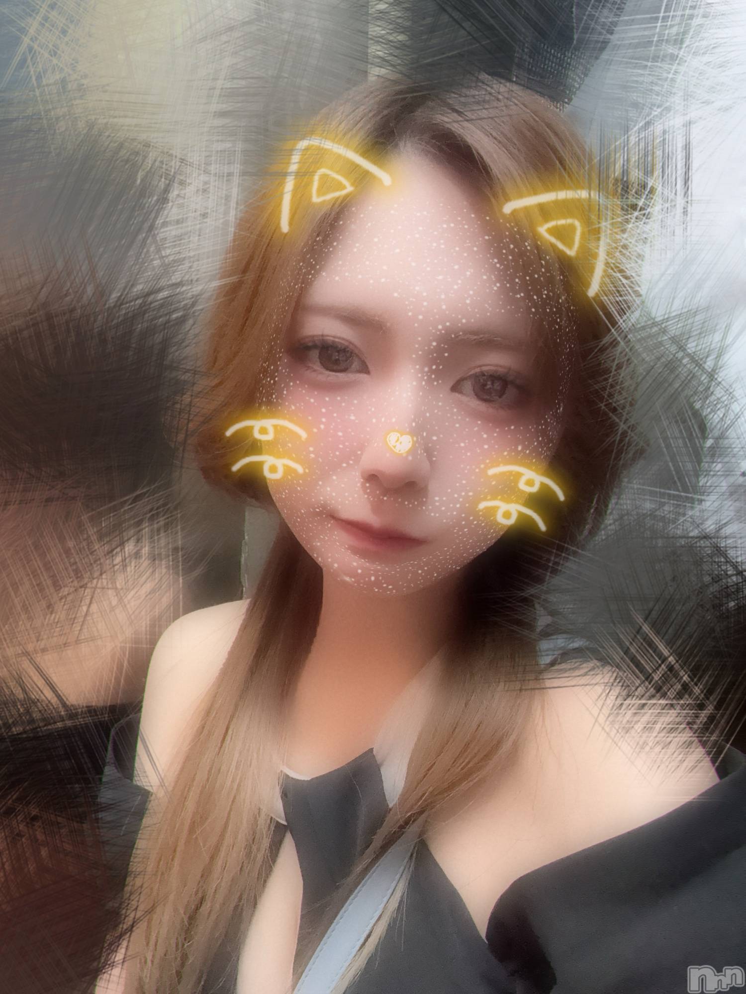 ƲХ顦֥ ץ Ĺ( ץ ʥ) 2025ǯ123̥֥֤Ĥ󡪡