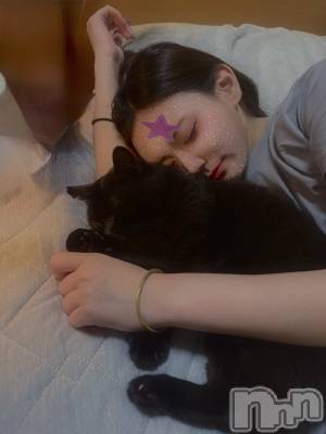 ƲХ顦֥ ץ Ĺ( ץ ʥ) (24)715ֽ̥֥жС