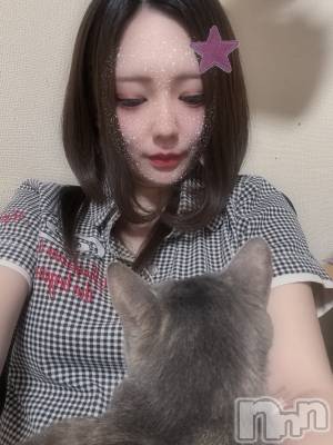 ƲХ顦֥ ץ Ĺ( ץ ʥ) (24)725̥֥֤ͤͤ