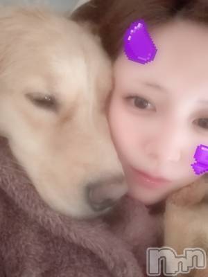 ƲХ顦֥ ץ Ĺ( ץ ʥ) (24)1111̥֥֤äԤ᤮