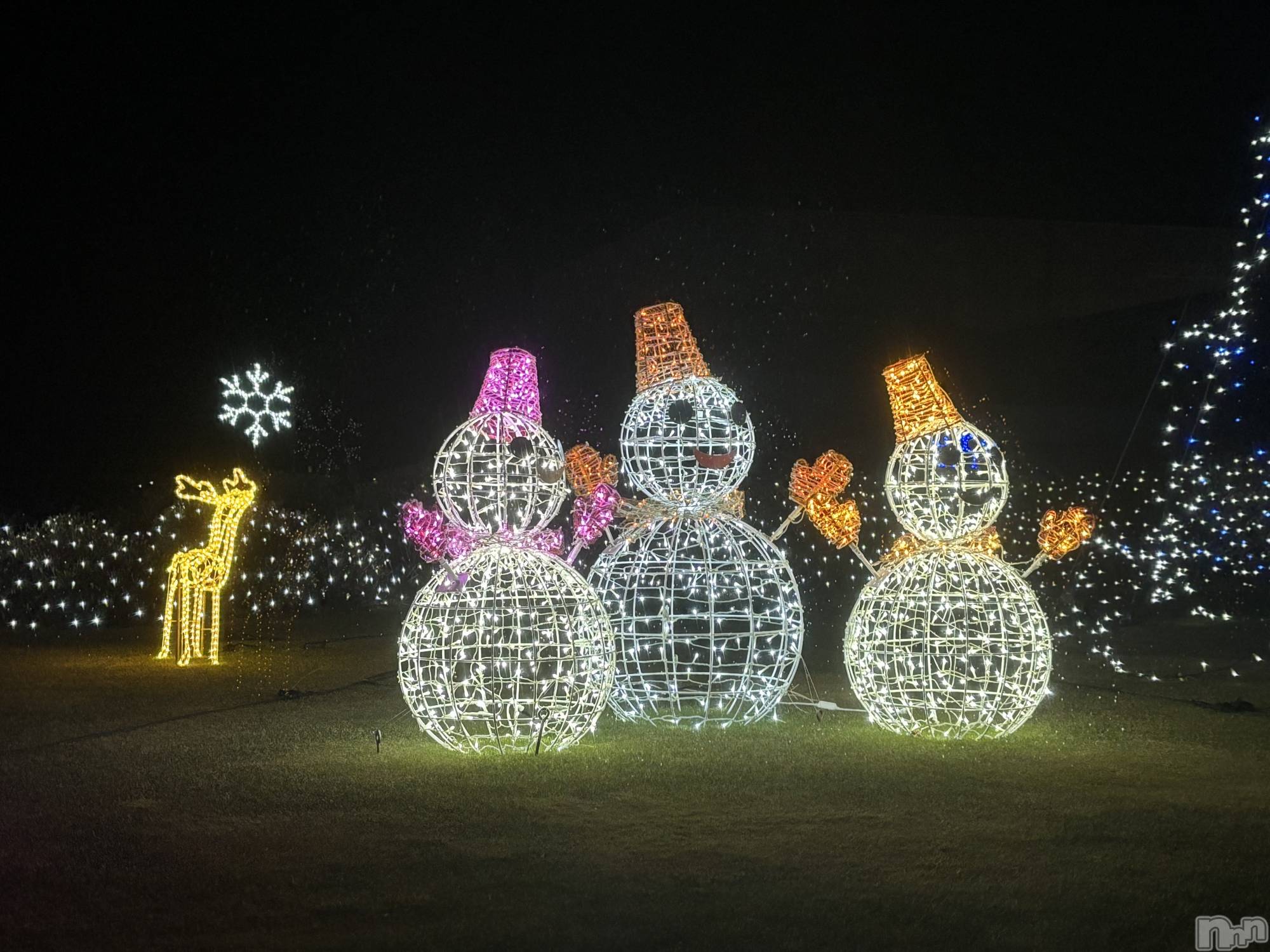 ��Ʋ����Х��顦����֥���� �ץ���� Ĺ��(����� �ץ���� �ʥ���) ��2025ǯ12��19���̥�֥����ֽжФ��Ƥޤ���