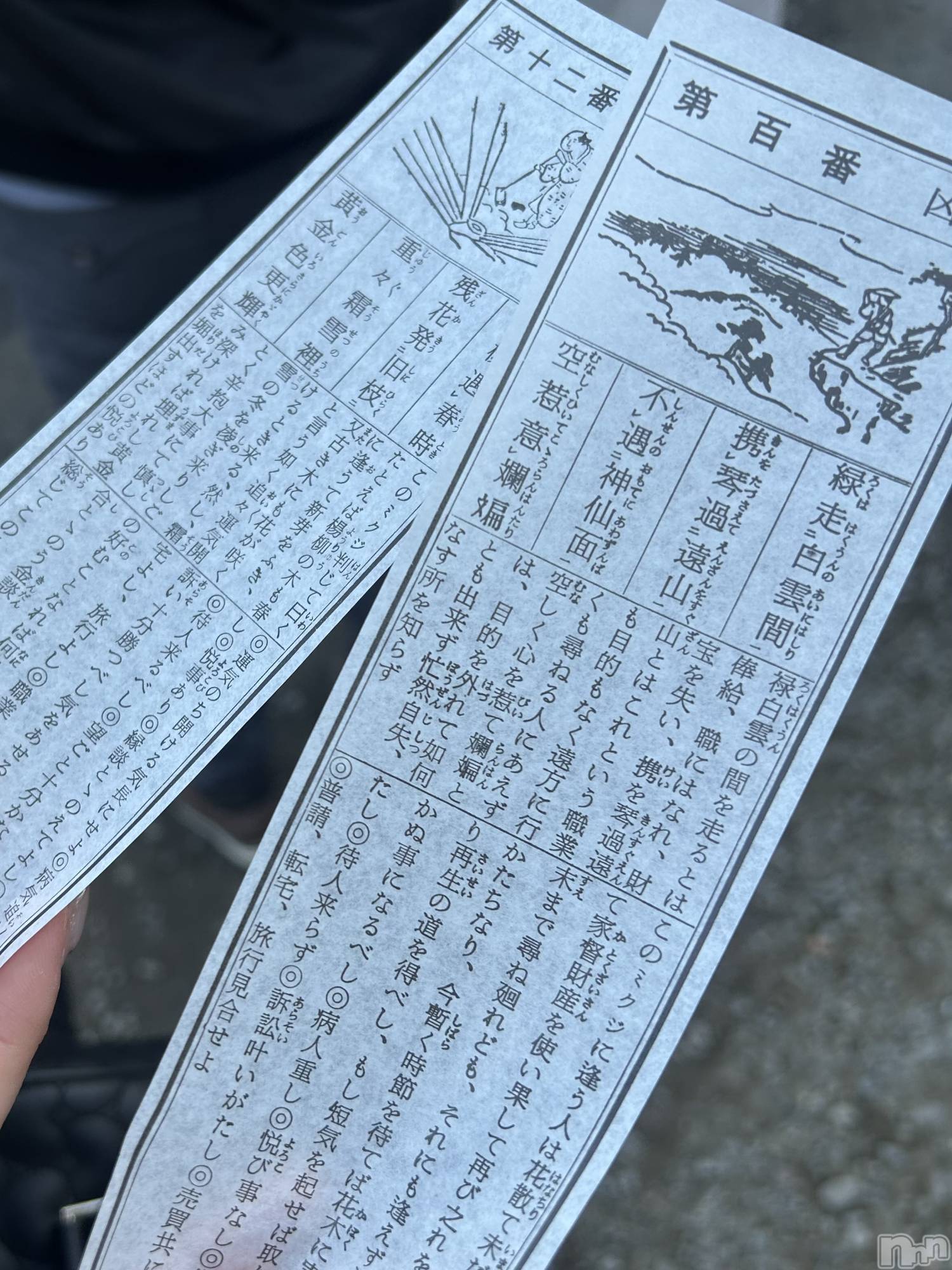 ��Ʋ����Х��顦����֥���� �ץ���� Ĺ��(����� �ץ���� �ʥ���) ��2026ǯ1��24���̥�֥����ֽжФ��Ƥޤ���