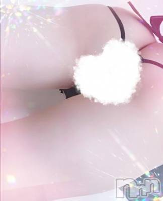 長岡デリヘル 奥様特急 長岡店(オクサマトッキュウナガオカテン) きほ(29)の1月5日写メブログ「いじめて///」