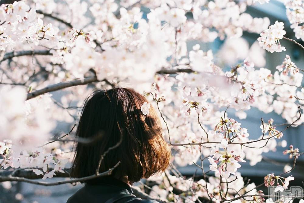 �����������Х��顦�����LOUNGE ARISTA(�饦�󥸥��ꥹ��) ���Ȥ�4��12���̥�֥����֡�����ۤ��ָ�����魯���ƿ̤�������ʪ��Ū�ˡˡ�