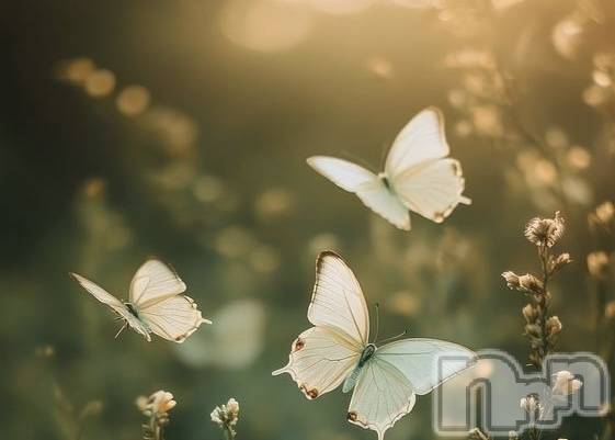 �����������Х��顦�����LOUNGE ARISTA(�饦�󥸥��ꥹ��) ���Ȥ�4��17���̥�֥�����Ǿ�⡢�ԥ󥯤�˽����