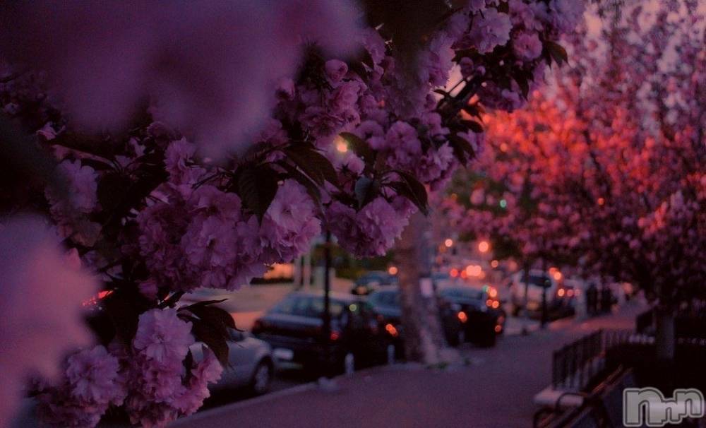 �����������Х��顦�����LOUNGE ARISTA(�饦�󥸥��ꥹ��) ���Ȥ�4��7���̥�֥����֤��ָ����������ơ�Ƭ�ˤ������������ʤäƤ����ʤ��⤷��ʤ���������