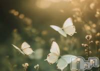 �����������Х��顦�����LOUNGE ARISTA(�饦�󥸥��ꥹ��) ����(35)��4��17���̥�֥�����Ǿ�⡢�ԥ󥯤�˽����