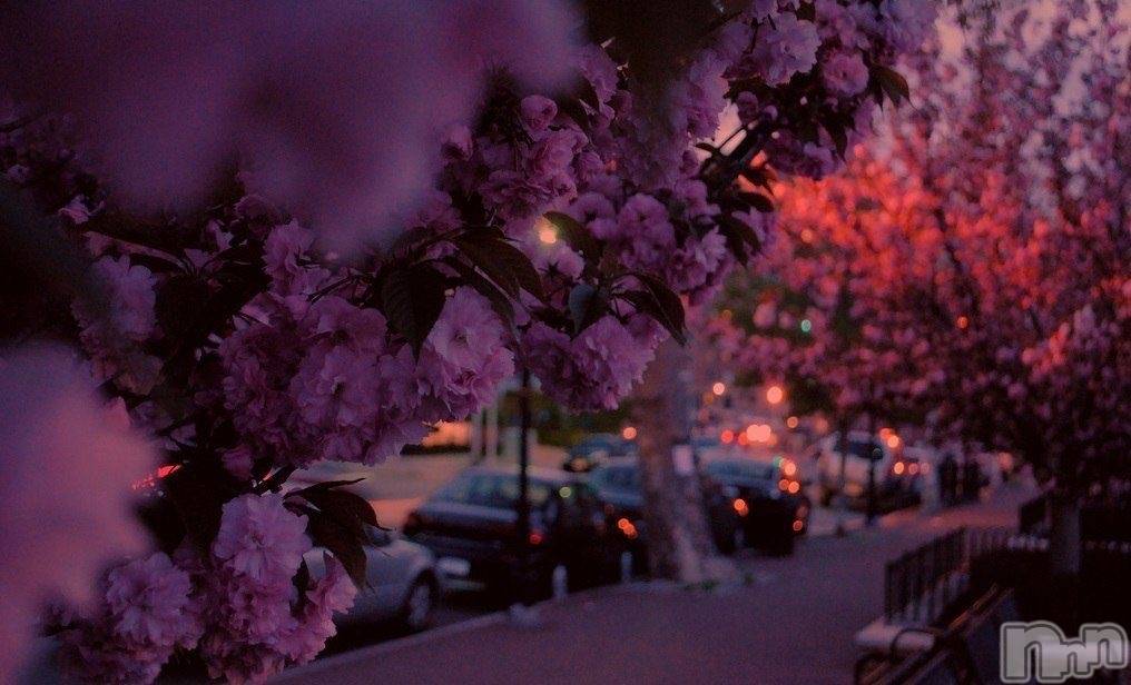 �����������Х��顦�����LOUNGE ARISTA(�饦�󥸥��ꥹ��) ��2026ǯ4��7���̥�֥����֤��ָ����������ơ�Ƭ�ˤ������������ʤäƤ����ʤ��⤷��ʤ���������