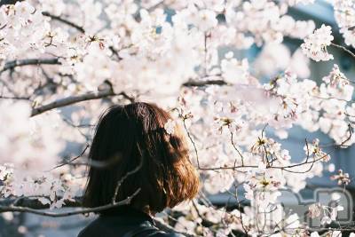 �����������Х��顦�����LOUNGE ARISTA(�饦�󥸥��ꥹ��) ����(35)��4��12���̥�֥����֡�����ۤ��ָ�����魯���ƿ̤�������ʪ��Ū�ˡˡ�