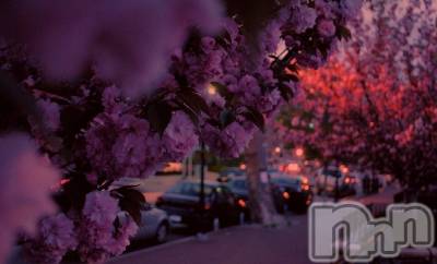 �����������Х��顦�����LOUNGE ARISTA(�饦�󥸥��ꥹ��) ����(35)��4��7���̥�֥����֤��ָ����������ơ�Ƭ�ˤ������������ʤäƤ����ʤ��⤷��ʤ���������