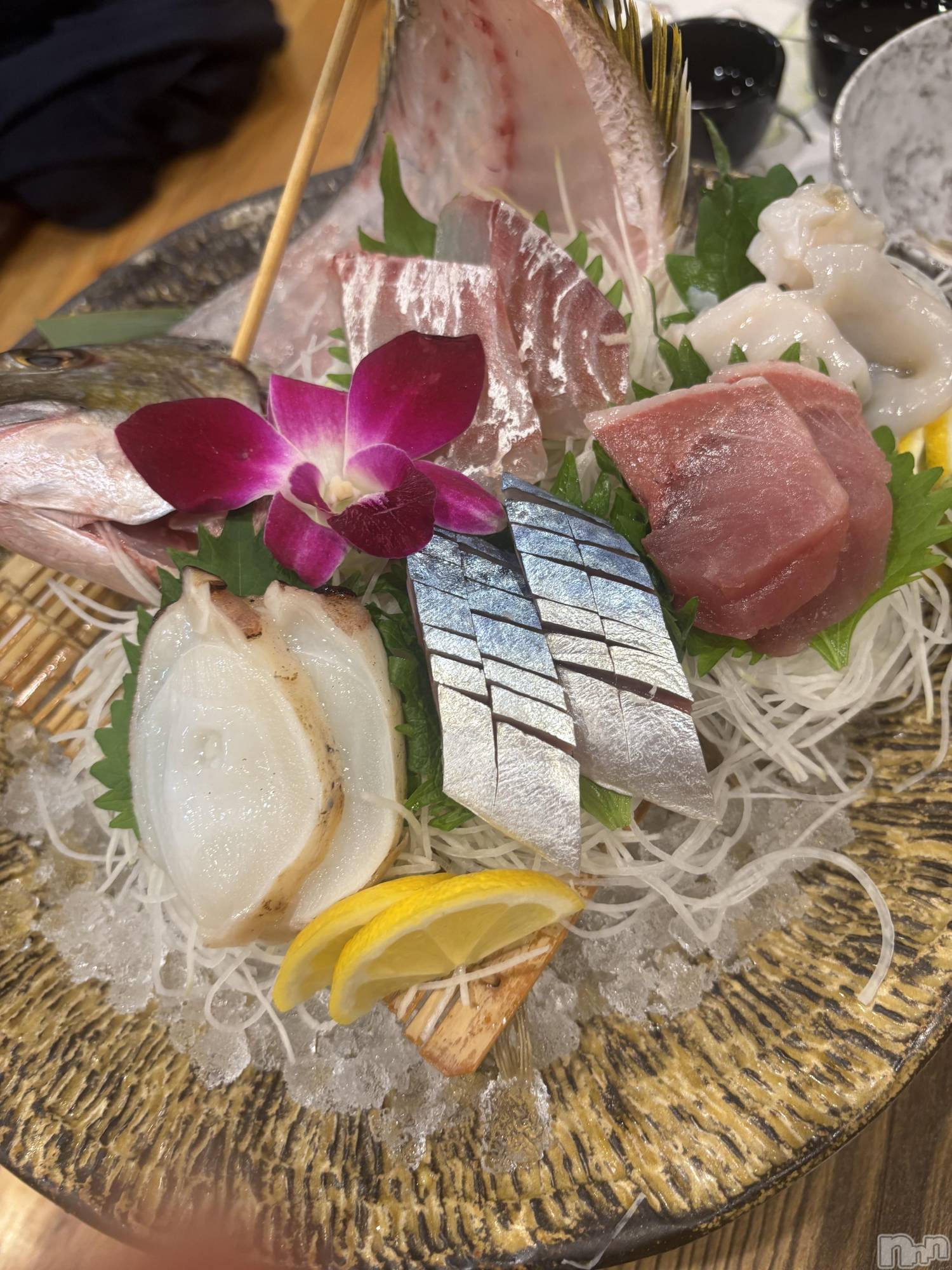 Х顦Armada(ޡ) 2025ǯ1123ֺ̥֥Ϥ꤬Ȥޤ✨