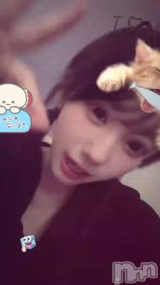 �狼��ʤ���WW