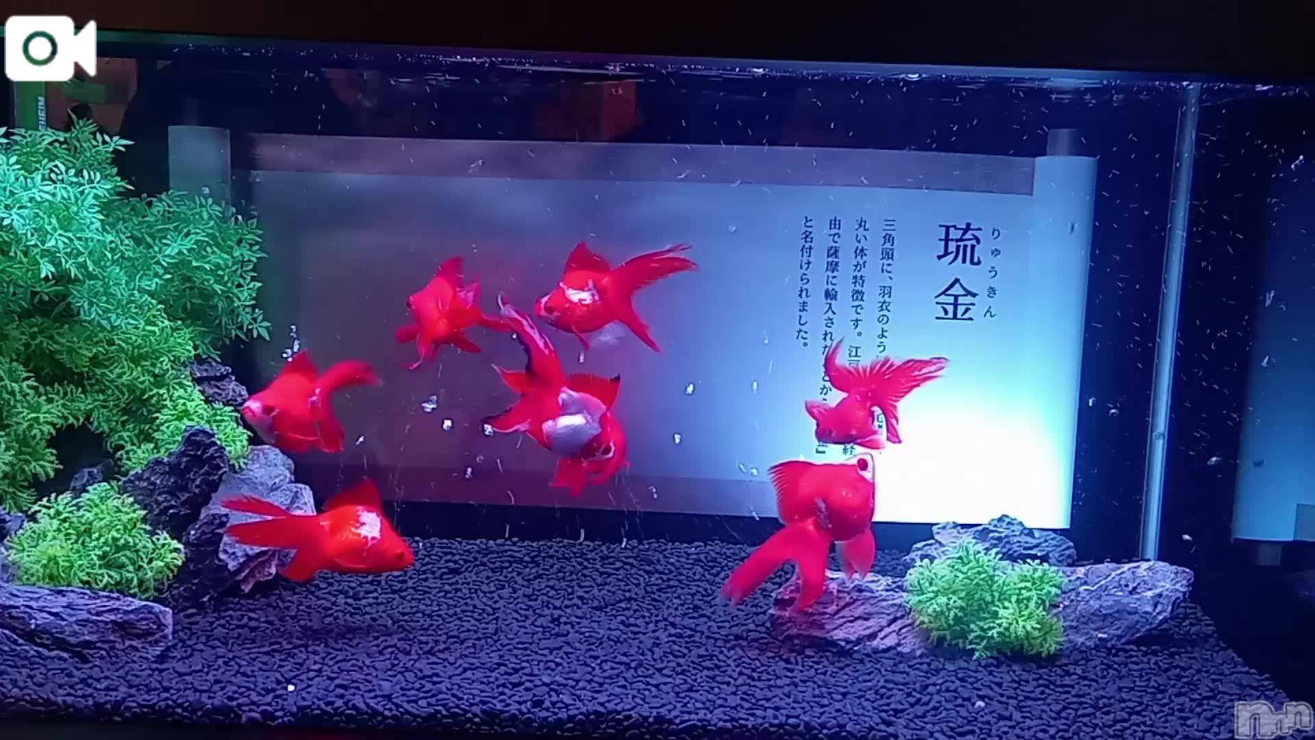 新潟ぽっちゃり新潟市鳥屋野潟ちゃんこ(ニイガタシトヤノガタチャンコ)千冬(23)の2025年8月17日写メブログ「✴️デート中✴️」