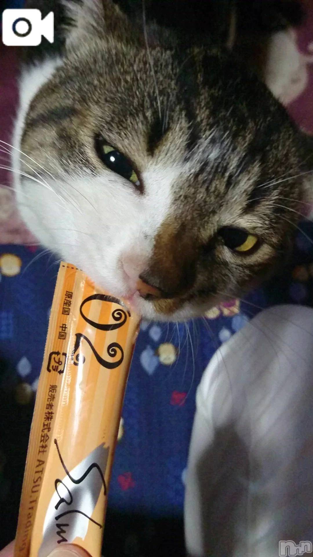 新潟デリヘル新潟市鳥屋野潟ちゃんこ(ニイガタシトヤノガタチャンコ)千冬(23)の2026年1月6日写メブログ「💭大人として不甲斐なし...💭」