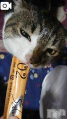 新潟デリヘル新潟市鳥屋野潟ちゃんこ(ニイガタシトヤノガタチャンコ) 千冬(23)の8月14日写メブログ「👅ぺろぺろ👅」