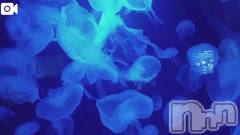 新潟デリヘル新潟市鳥屋野潟ちゃんこ(ニイガタシトヤノガタチャンコ) 千冬(23)の12月7日写メブログ「💙癒し動画…💙」