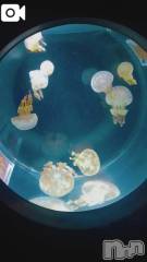 新潟デリヘル新潟市鳥屋野潟ちゃんこ(ニイガタシトヤノガタチャンコ) 千冬(23)の12月15日写メブログ「🫧‪デートの話🫧」