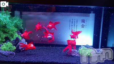 新潟ぽっちゃり 新潟市鳥屋野潟ちゃんこ(ニイガタシトヤノガタチャンコ) 千冬(23)の8月17日写メブログ「✴️デート中✴️」