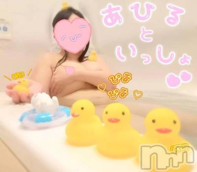 新潟デリヘル 新潟市鳥屋野潟ちゃんこ(ニイガタシトヤノガタチャンコ) 千冬(23)の11月23日写メブログ「💛アヒル隊長と私...💛」