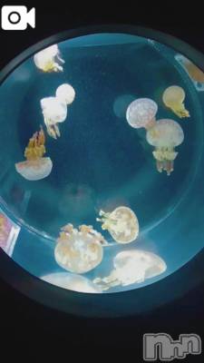 新潟デリヘル 新潟市鳥屋野潟ちゃんこ(ニイガタシトヤノガタチャンコ) 千冬(23)の12月15日写メブログ「🫧‪デートの話🫧」