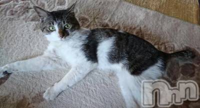 新潟デリヘル 新潟市鳥屋野潟ちゃんこ(ニイガタシトヤノガタチャンコ) 千冬(23)の1月12日写メブログ「💭嘘つき。💭」