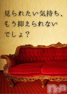 松本発デリヘル coin d amour-松本市発(コインダムール-マツモトシハツ) （松本発）麗華（れいか）お姉様(99)の12月9日写メブログ「麗華様の朝の挑発」