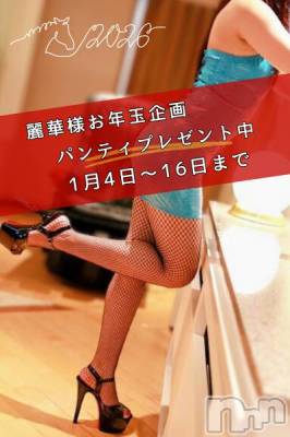 （松本発）麗華（れいか）お姉様(99)