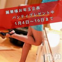 （松本発）麗華（れいか）お姉様