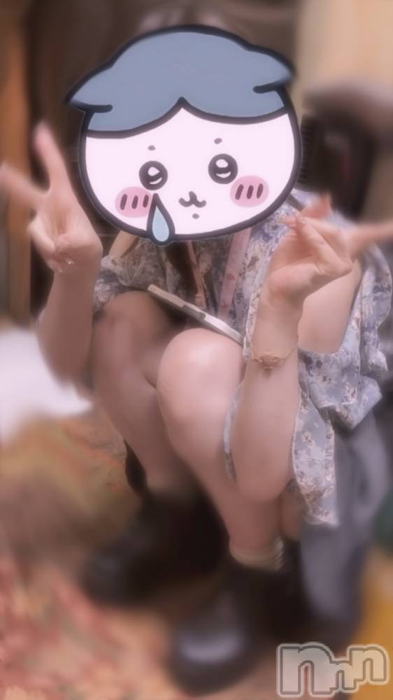 ʥå륺СաɥСӥ٥˥塼 88̥֥88 2037ʬΥ֥