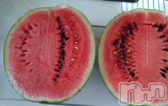 諏訪デリヘルThree＆Men’s Spa(スリー＆メンズスパ)しずかツー(36)の2025年8月15日写メブログ「夏といえば」