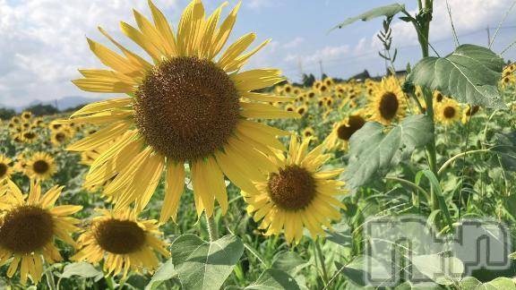 諏訪デリヘルThree＆Men’s Spa(スリー＆メンズスパ)しずかツー(36)の2025年8月18日写メブログ「まだまだ暑い」