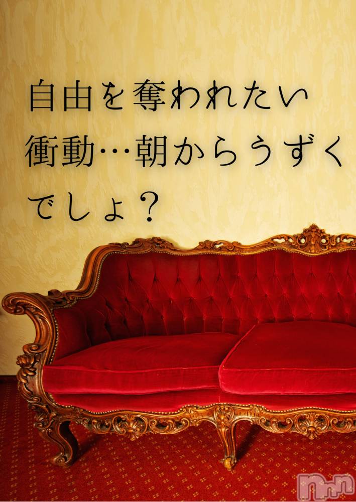 長野デリヘルcoin d amour -長野市発-(コインダムール) （長野市発）麗華（れいか）お姉様(99)の12月17日写メブログ「麗華様の朝の挑発」