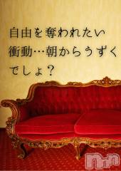 長野デリヘル（長野市発）コインダムール(コインダムール) （長野市発）麗華（れいか）お姉様(40)の12月17日写メブログ「麗華様の朝の挑発」