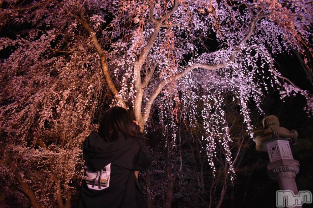 ����������ʥå��������륺�С�JEUNESSE(����ͥ�) Mao��4��6���̥�֥�����1�ֹ�����