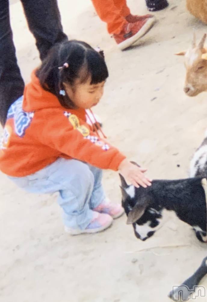 ����������ʥå��������륺�С�JEUNESSE(����ͥ�) Mao��4��18���̥�֥����֤���������