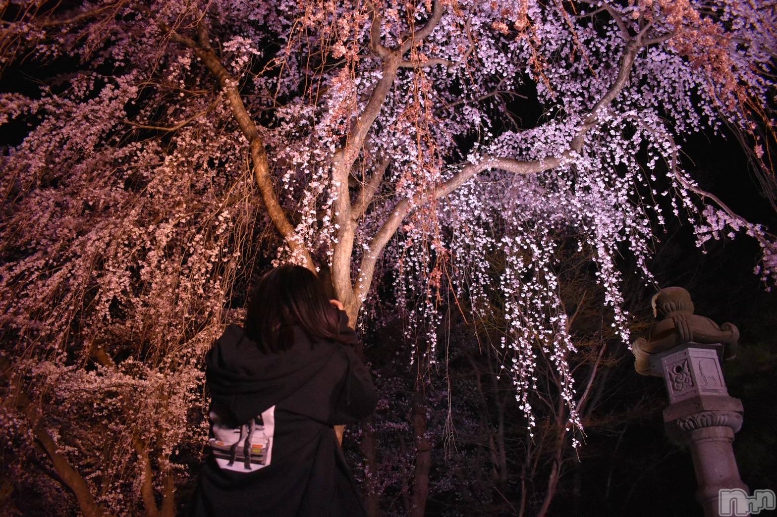 ����������ʥå��������륺�С�JEUNESSE(����ͥ�) ��2026ǯ4��6���̥�֥�����1�ֹ�����