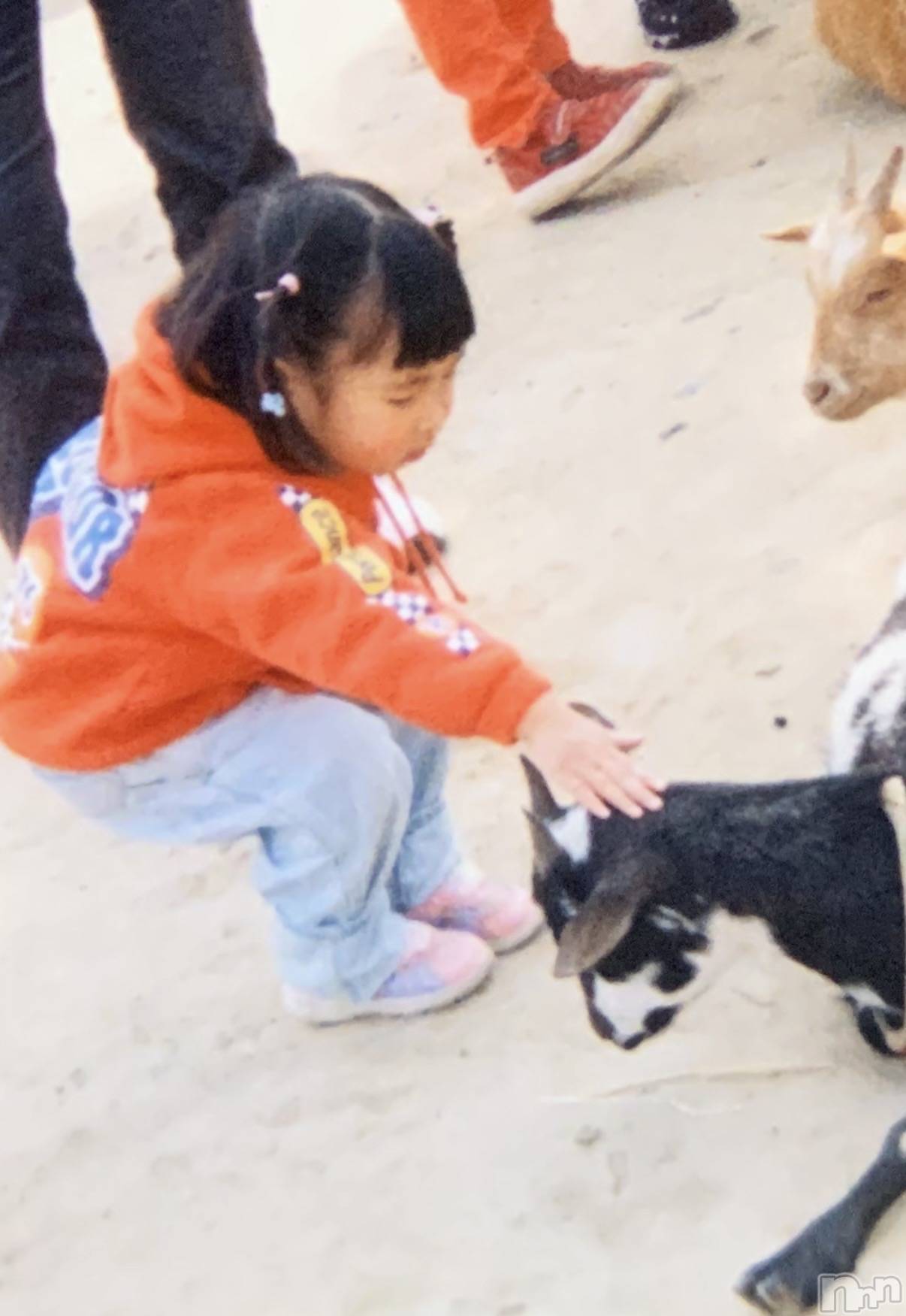 ����������ʥå��������륺�С�JEUNESSE(����ͥ�) ��2026ǯ4��18���̥�֥����֤���������