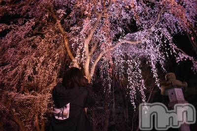 ����������ʥå��������륺�С�JEUNESSE(����ͥ�) Mao��4��6���̥�֥�����1�ֹ�����