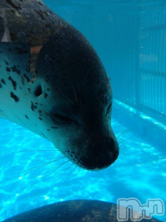 新潟人妻デリヘル熟女の風俗 最終章(ジュクジョノフウゾクサイシュウショウ)せな(45)の2025年7月29日写メブログ「お礼」