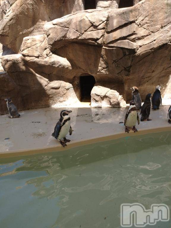 新潟人妻デリヘル熟女の風俗 最終章(ジュクジョノフウゾクサイシュウショウ)せな(45)の2025年8月10日写メブログ「お礼」