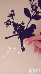 新潟デリヘル熟女の風俗 最終章(ジュクジョノフウゾクサイシュウショウ) せな(45)の7月17日写メブログ「お礼日記」