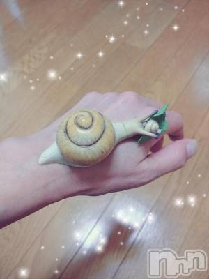 新潟人妻デリヘル 熟女の風俗 最終章(ジュクジョノフウゾクサイシュウショウ) せな(45)の7月15日写メブログ「お礼日記」