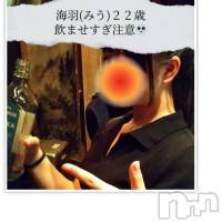 (22) Ĺ155cmĹ襳ѥ˥󥯥 ѥ˥󥯥OWL--(ѥ˥󥯥֥)ҡ