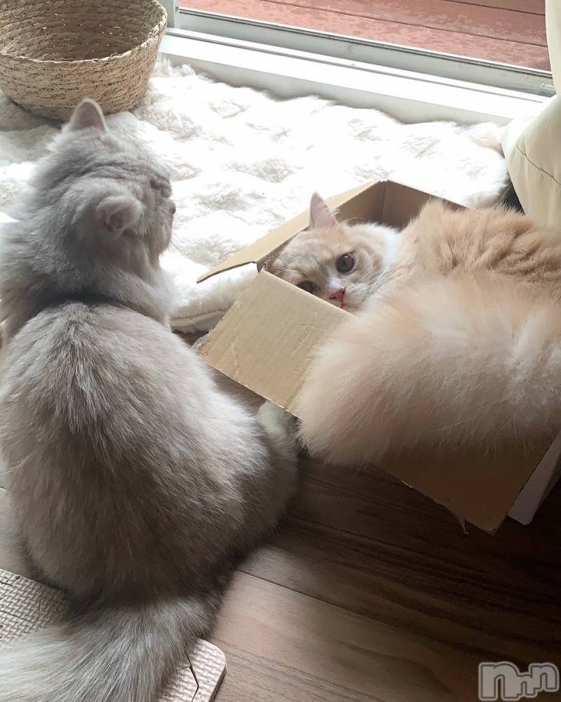 ��ë����Х��顦�����CLUB��Paladin(����֡��ѥ�ǥ���) ���ʤ�7��20���̥�֥��������ɤ��ˤ�󤳡�