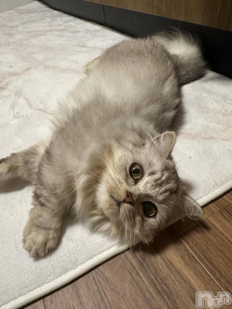 ��ë����Х��顦�����CLUB��Paladin(����֡��ѥ�ǥ���) ���ʤ�8��2���̥�֥����ֽ뤤🫠��