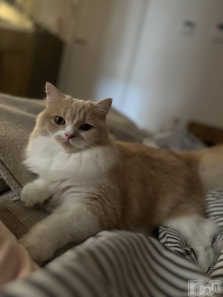 ��ë����Х��顦�����CLUB��Paladin(����֡��ѥ�ǥ���) ���ʤ�8��24���̥�֥����֥��������🧡��