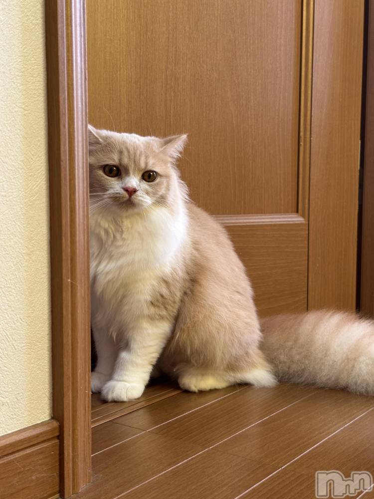 ��ë����Х��顦�����CLUB��Paladin(����֡��ѥ�ǥ���) ���ʤ�8��27���̥�֥����ֿ͸��Τ������